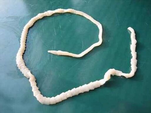 emberi sertés galandféreg