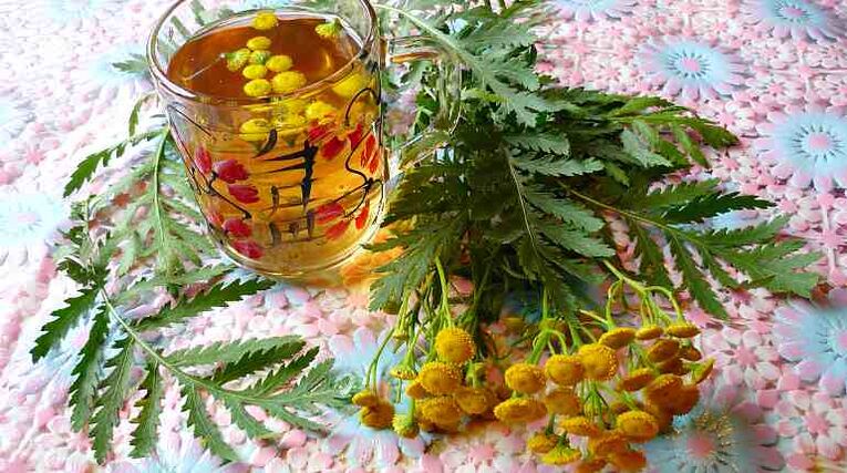 Tansy infúzió segít kiűzni a parazitákat a szervezetből
